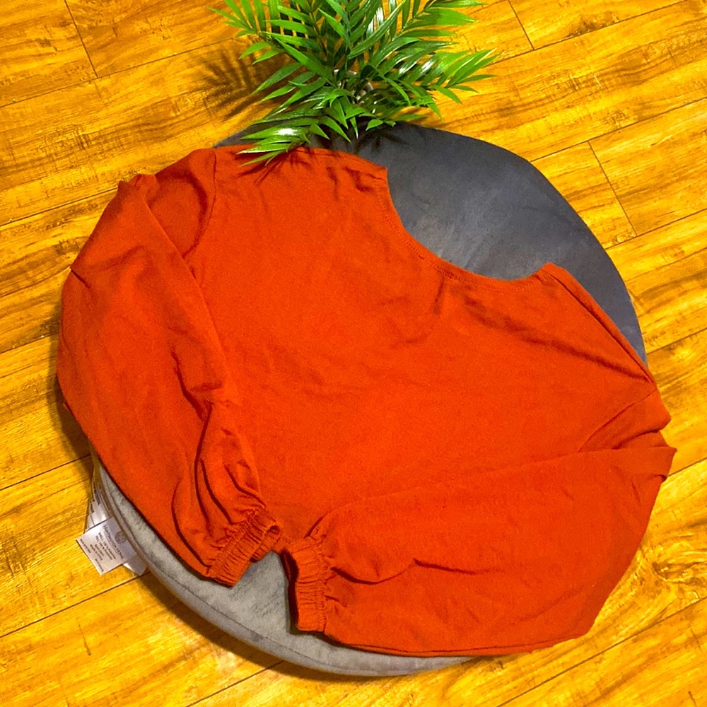 Long sleeve crop top